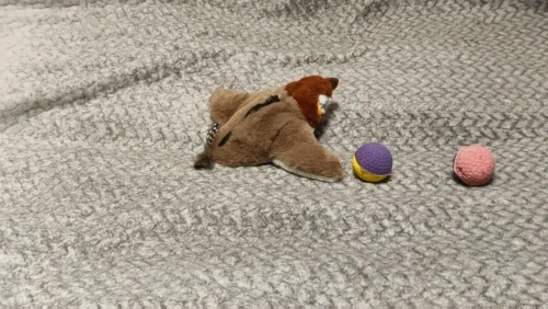 Catnip Squeaky Bird Plush (No Flying) photo review