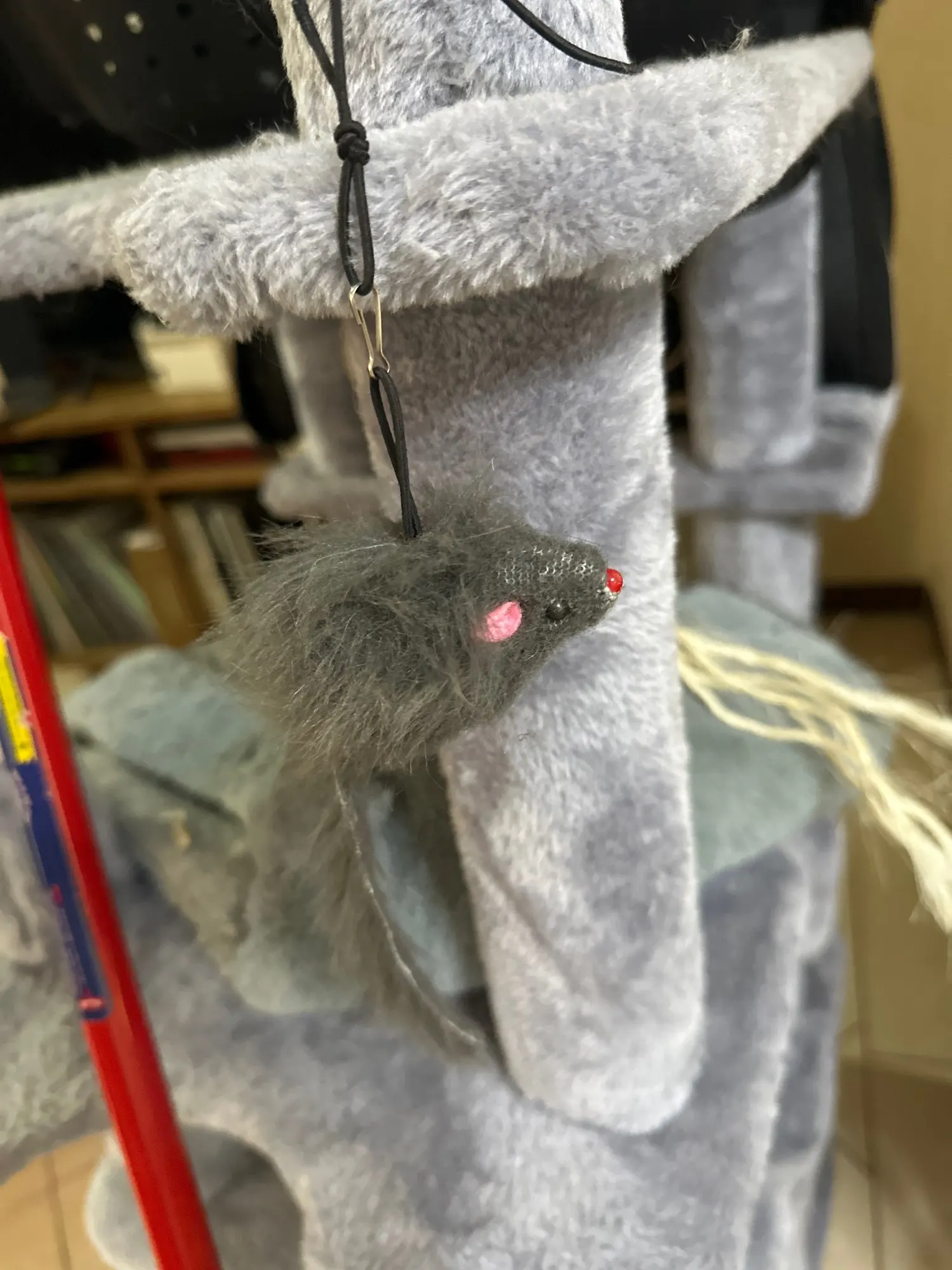 Juguete  Interactivo Colgante Para Gato