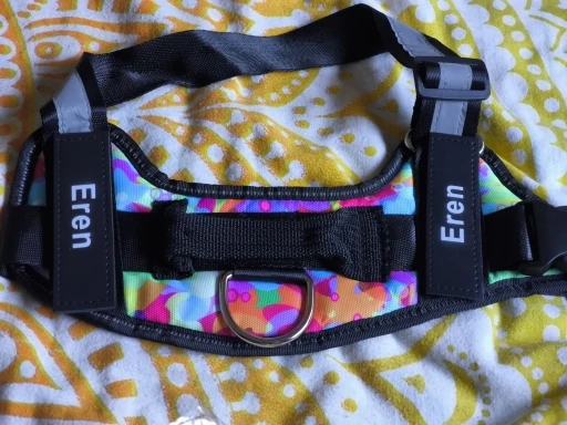 Arnés de perro personalizado sin tirones, chaleco reflectante y transpirable para mascotas pequeñas y grandes, accesorios de entrenamiento para caminar al aire libre photo review