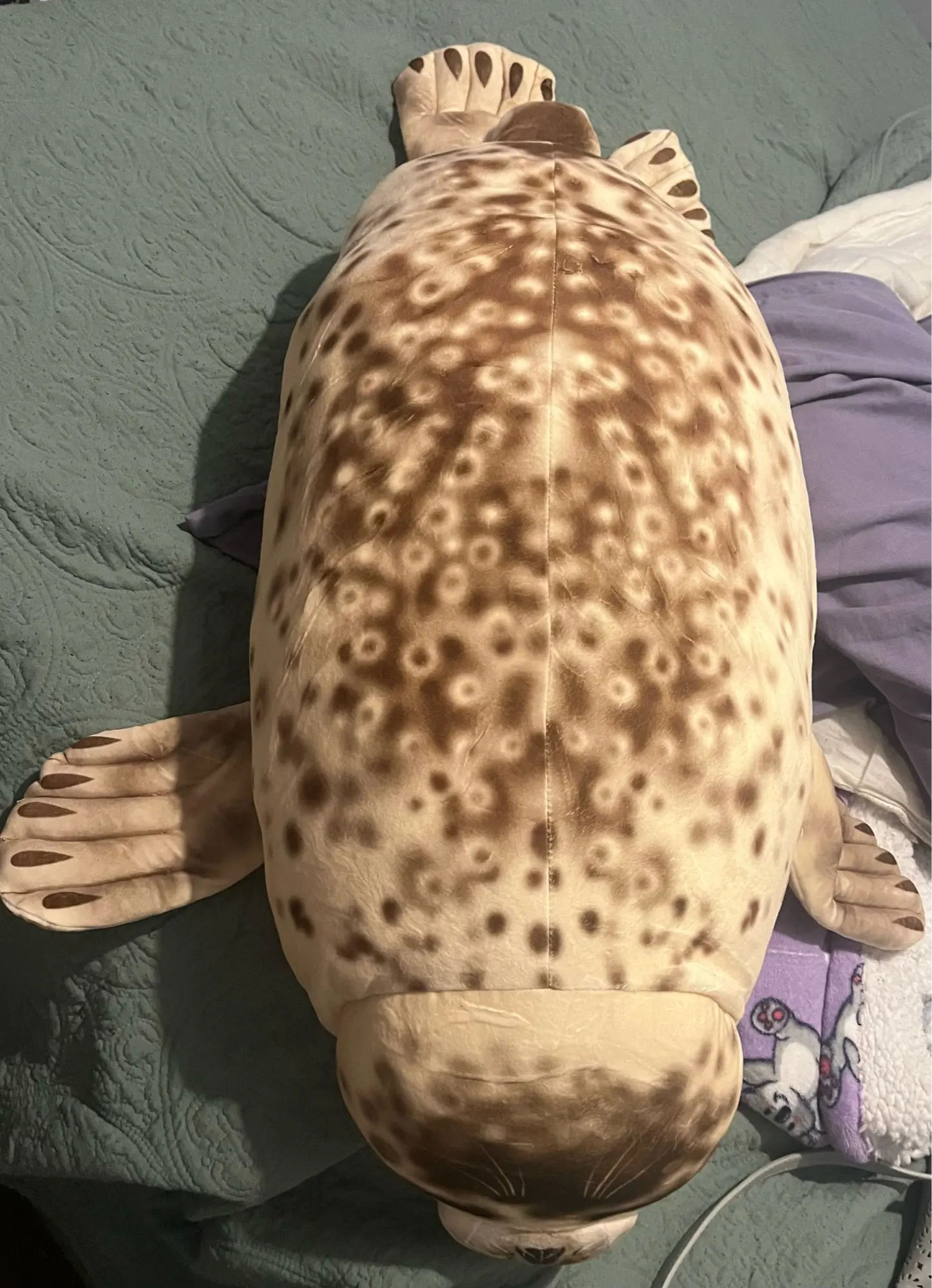 Foquinha Serena Fofeza® de Pelúcia