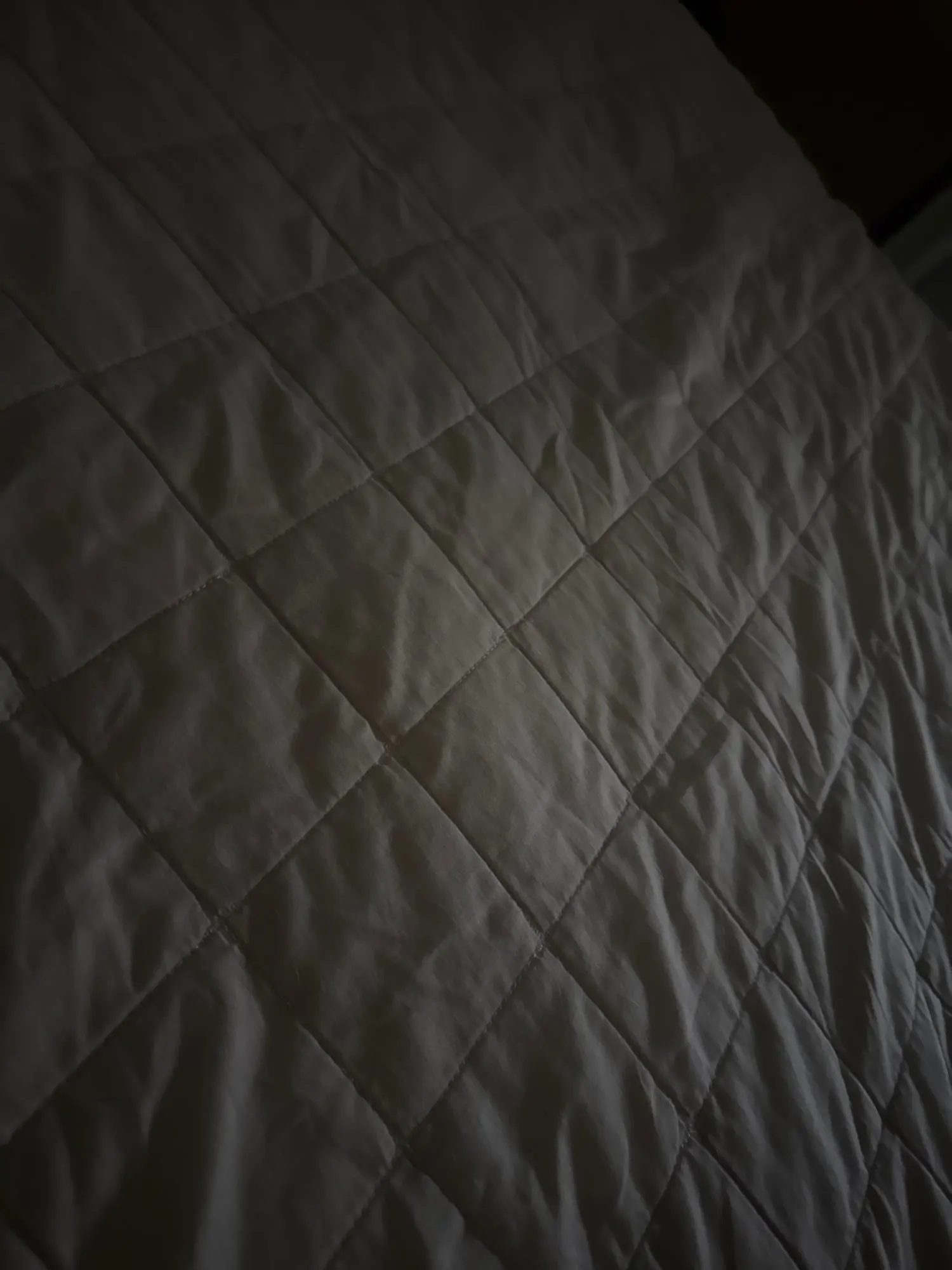 Summer Cat Dog Harness Lead Leash Adjustable Vest Polyester Mesh photo review