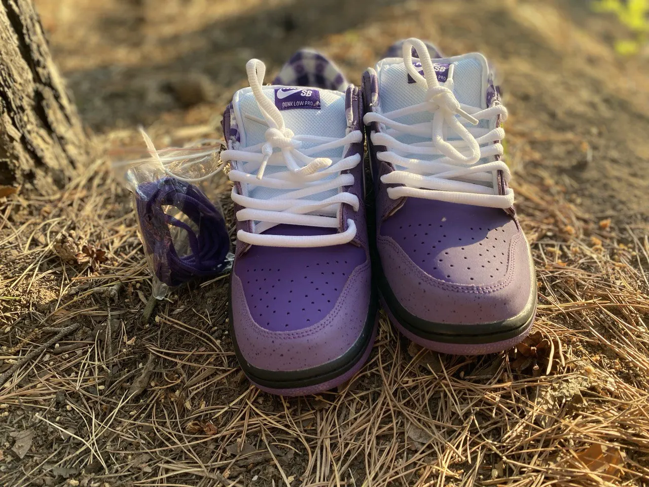 Sb Dunk Nike Original Aliexpress Pedes Nike Sb Dunk Low Purple Lobster  AliExpress