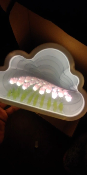 Tulip Cloud Night Light, customer photo
