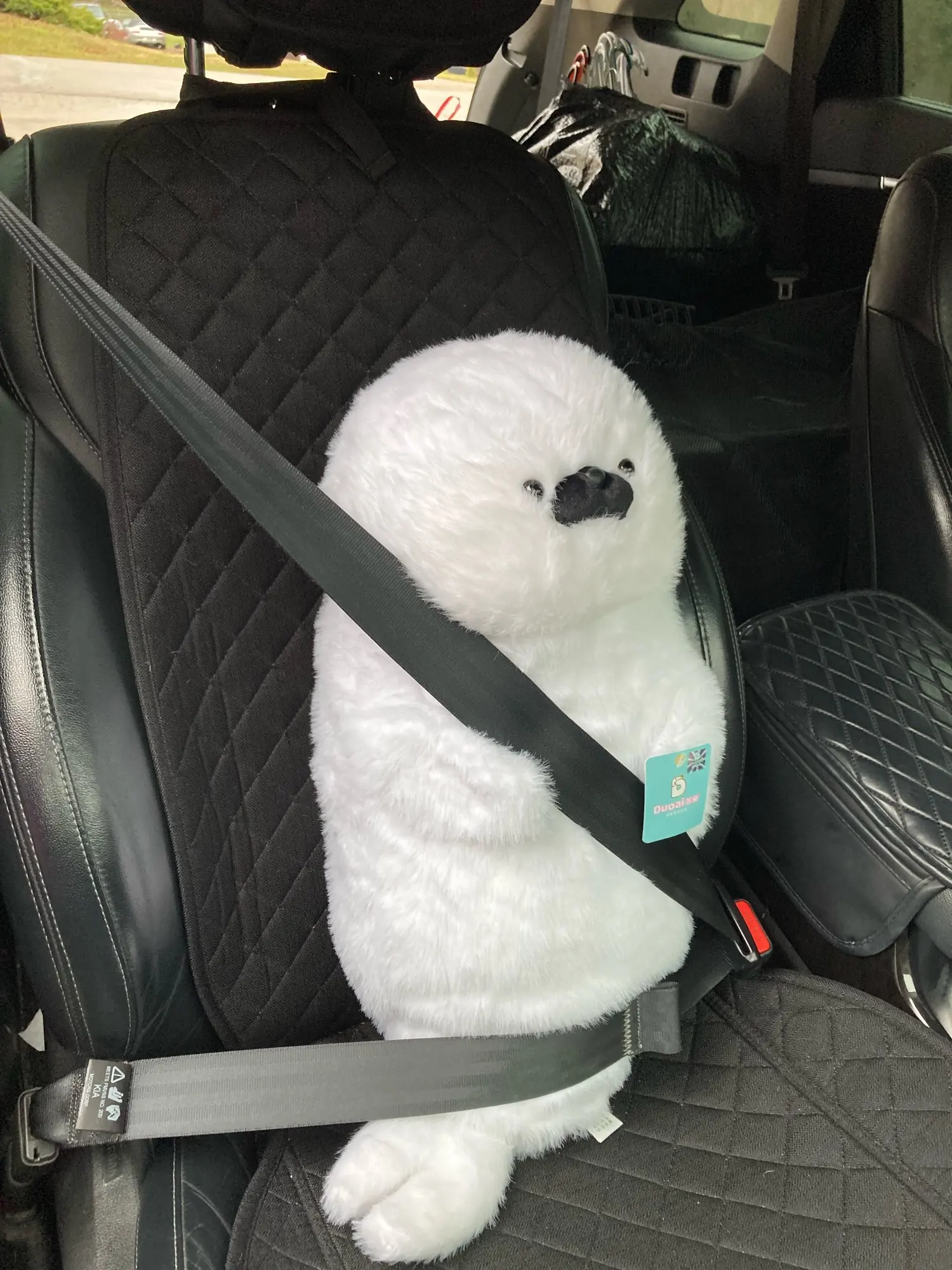 Seal and Otter Plushies photo review
