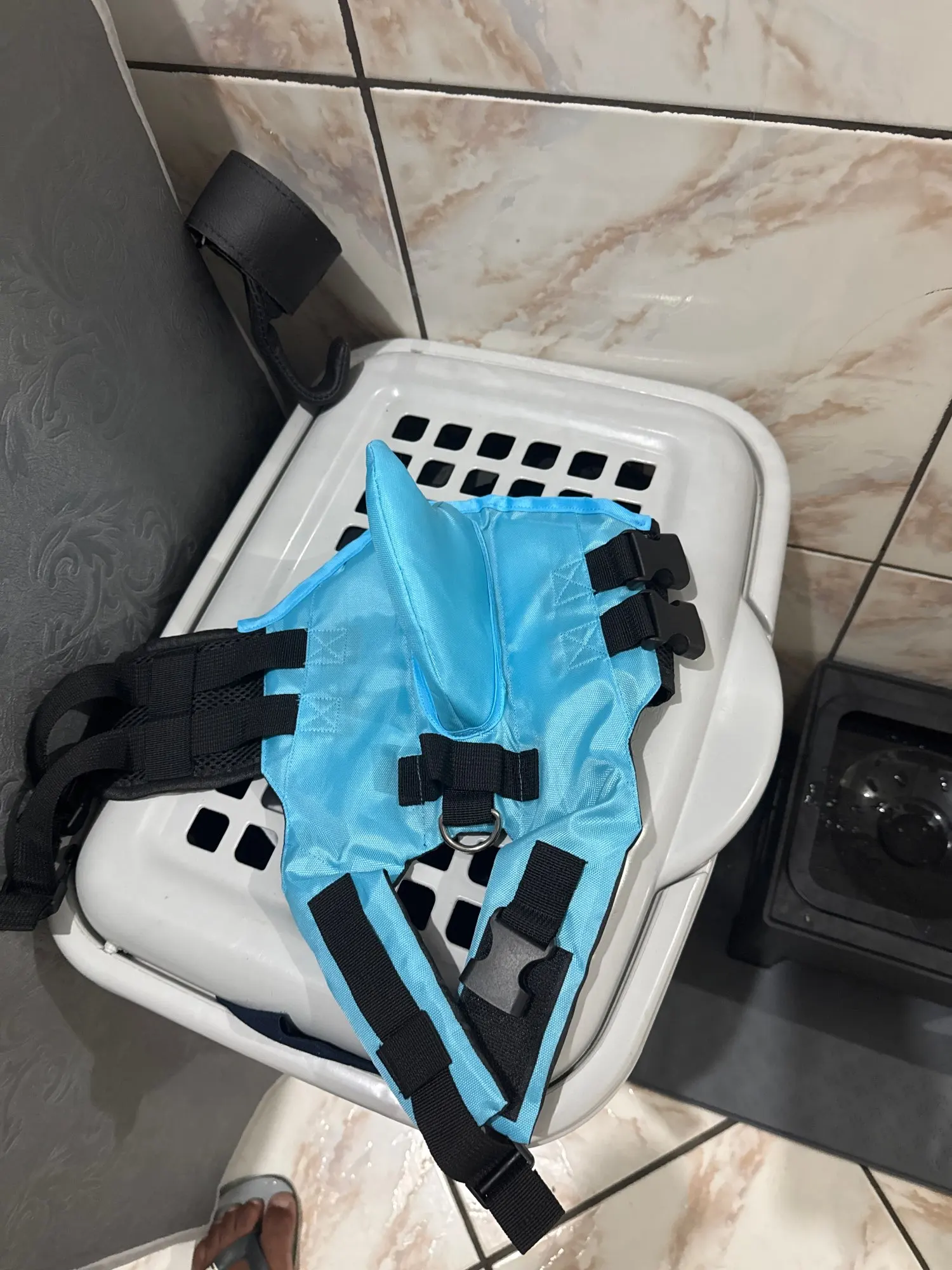 Chaleco Salvavidas Tiburón Para Perro