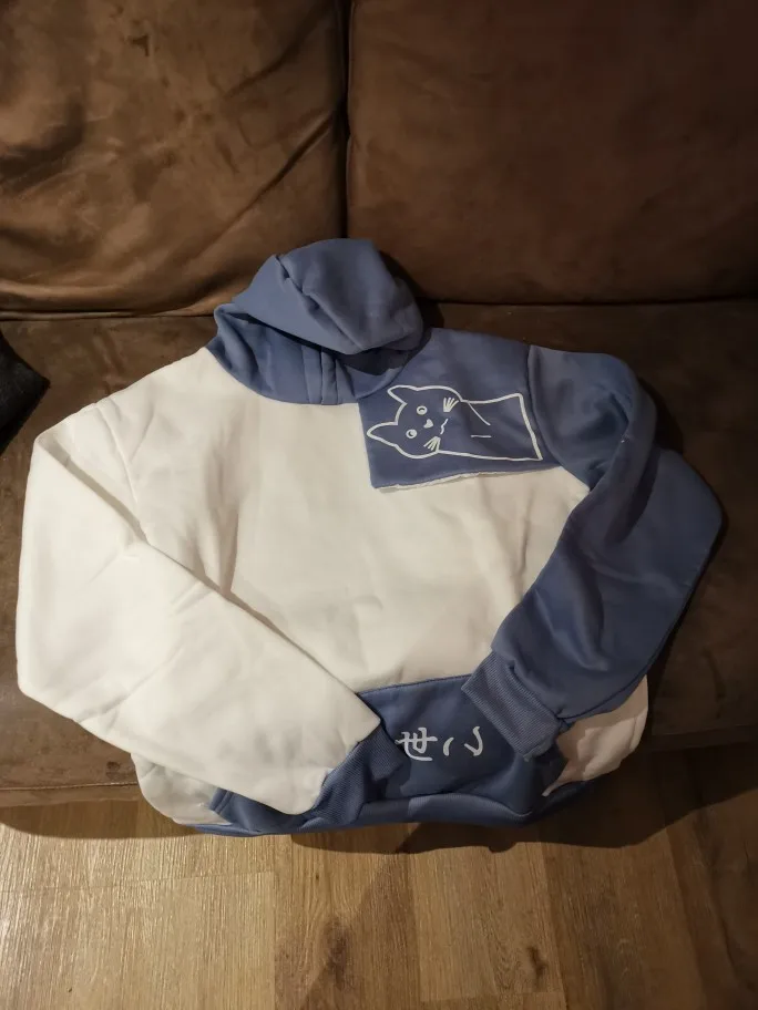 Neko Sensei Pullover Hoodie photo review