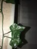 Изображение товара 4