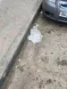 Изображение товара 4
