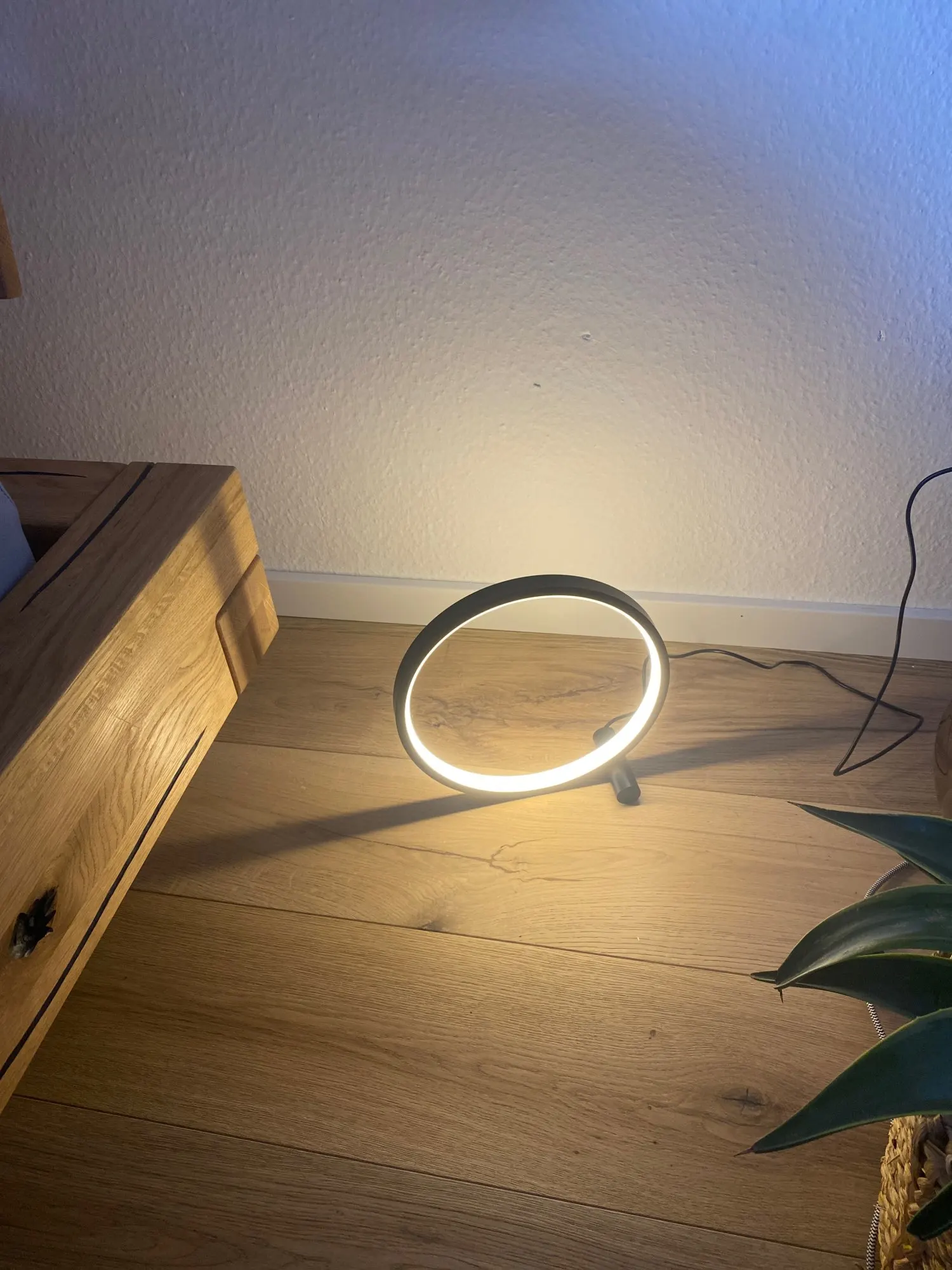 Desk Lamp Black 25CM LED Table Lamp Circular photo review