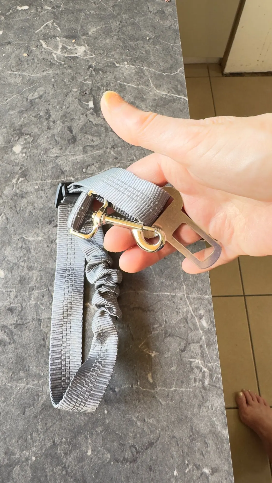 Dog Seat Belt – Reflective Nylon Adjustable Harness for Safe Pet Travel photo review