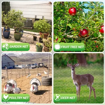 Garden Bird & Deer Netting 5