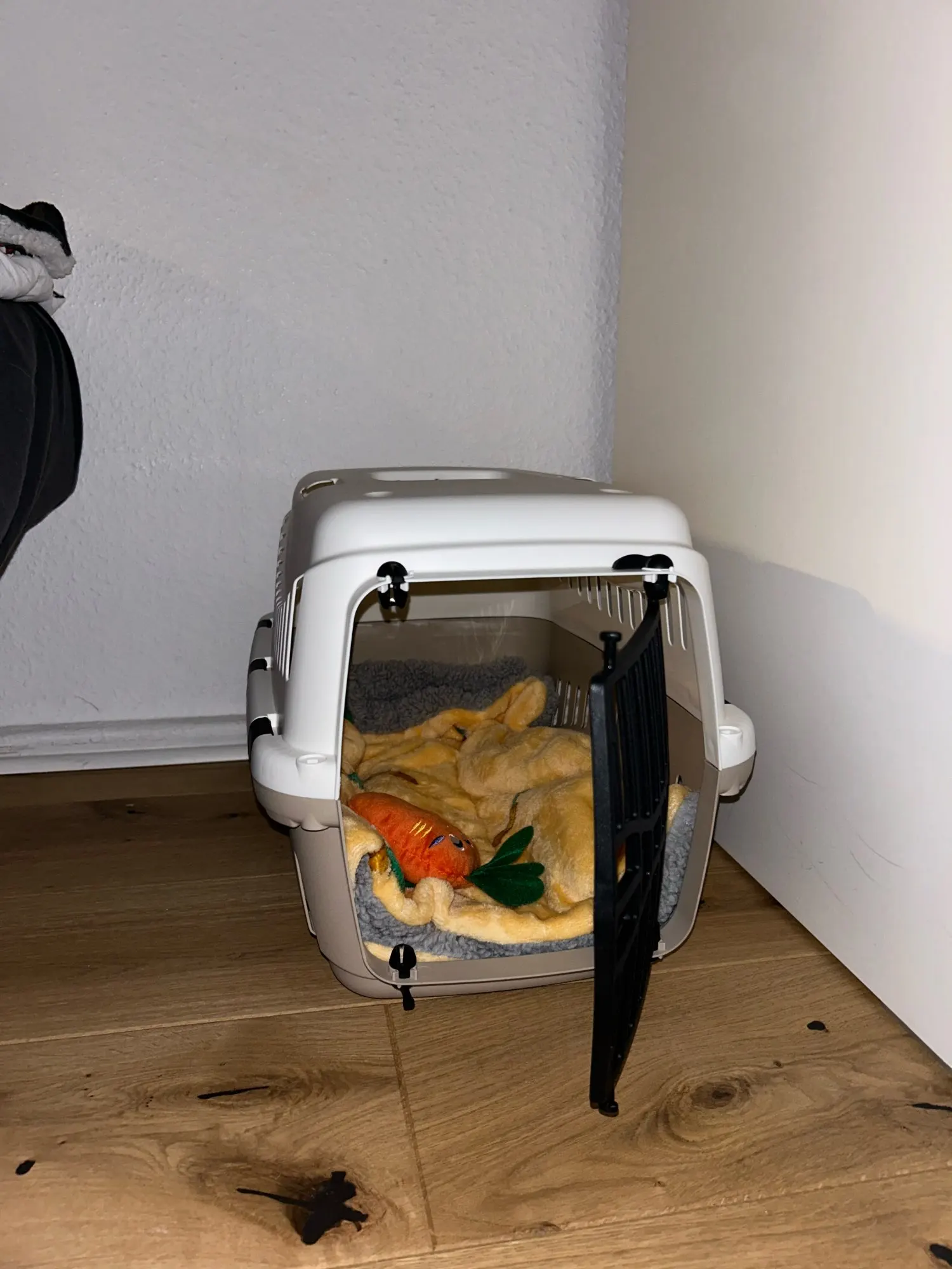 CozyCoral Pet Blanket: Thickened Warmth for Dogs of All Sizes photo review