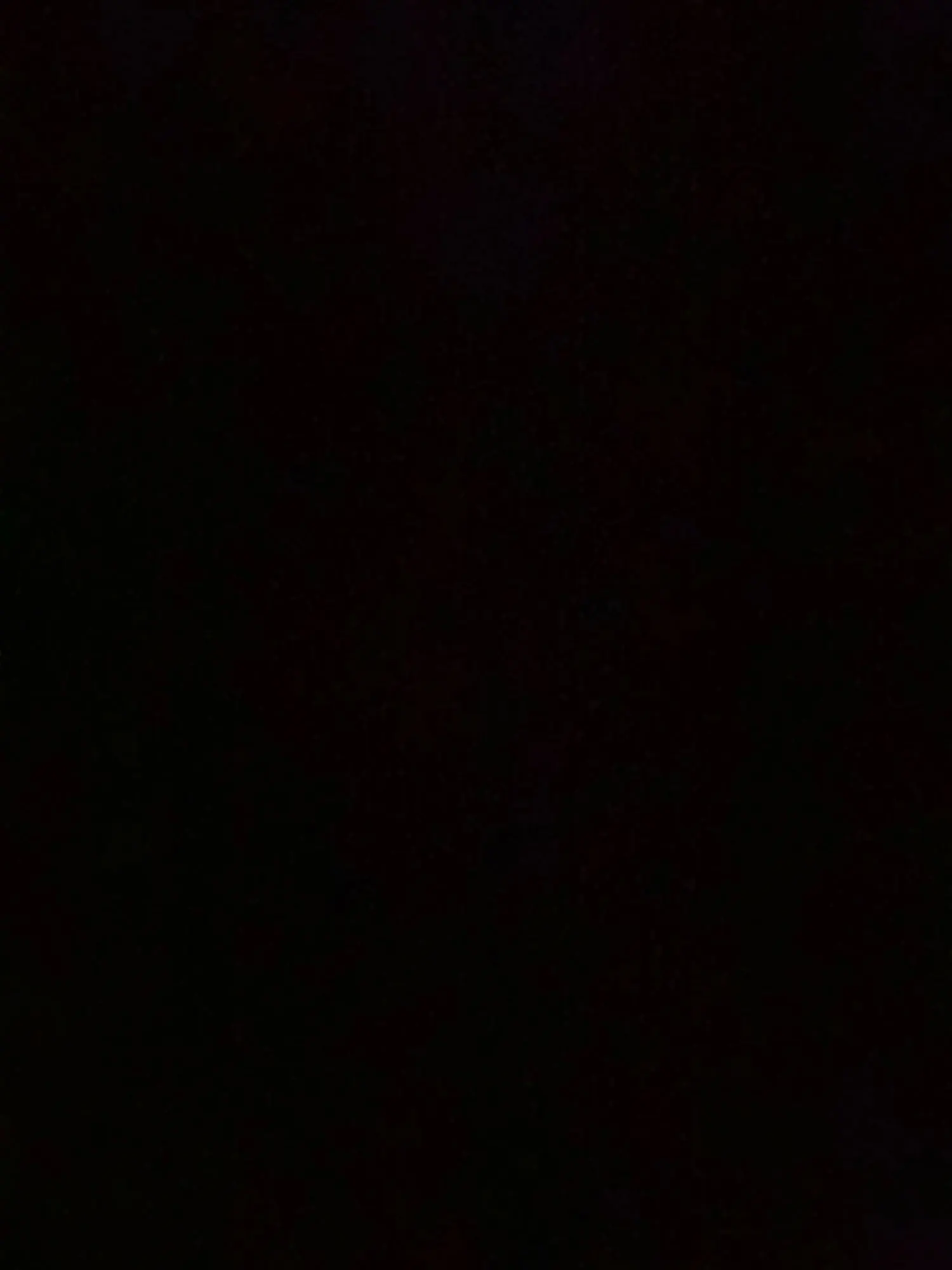 LimeFox - Retro Spielekonsole