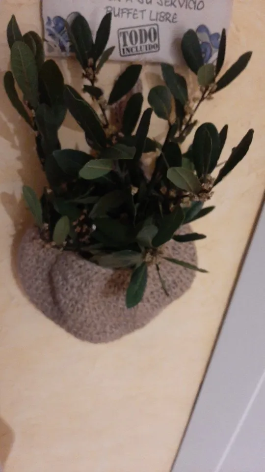Handwoven Hanging Wall Vegetable Fruit Basket Organizer Container Decor for Kitchen Garden Mount Wall Plant Flower Onion Storage photo review