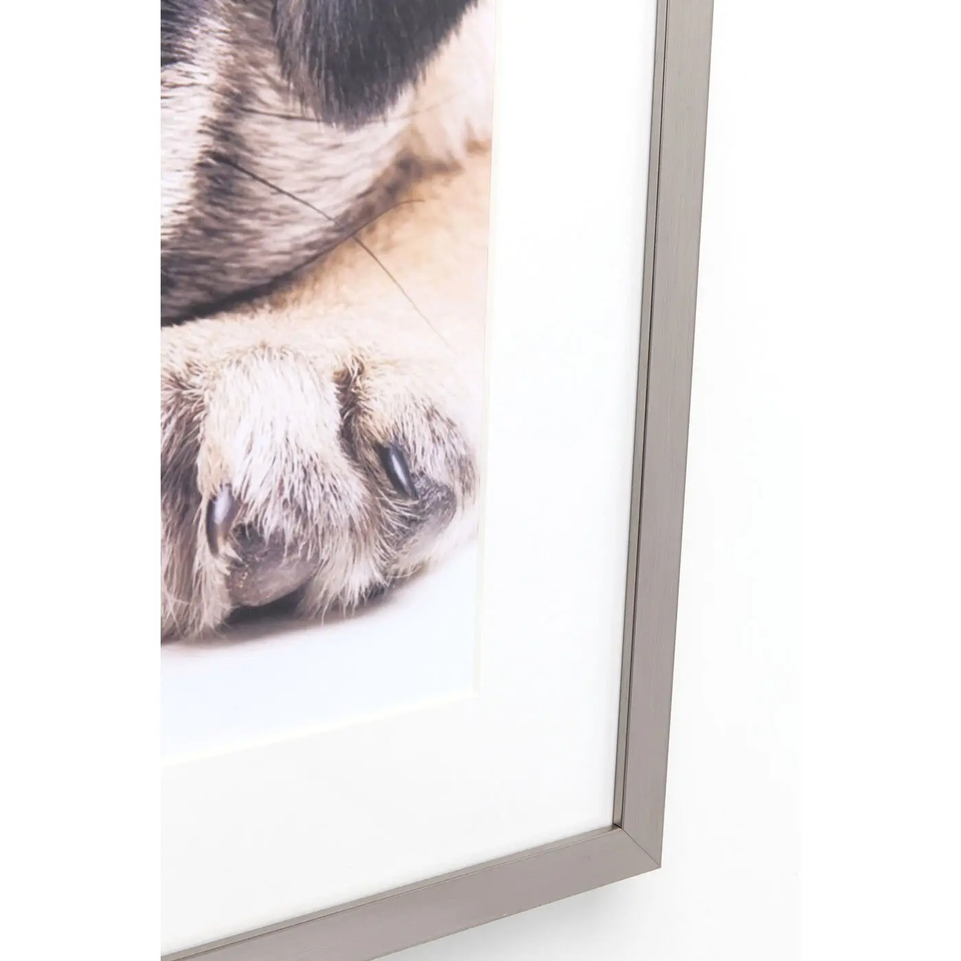 Рисунок 5 - Картина в рамке Mops