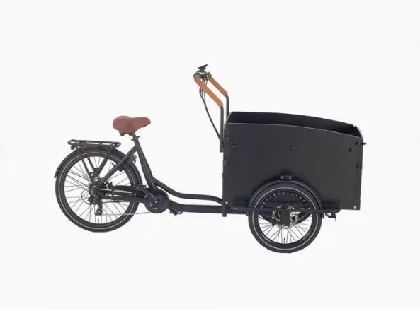 E Cargo Bike for Carrying Kids 20/26 Inch Electric Cargo Bicycle with Large-Capacity