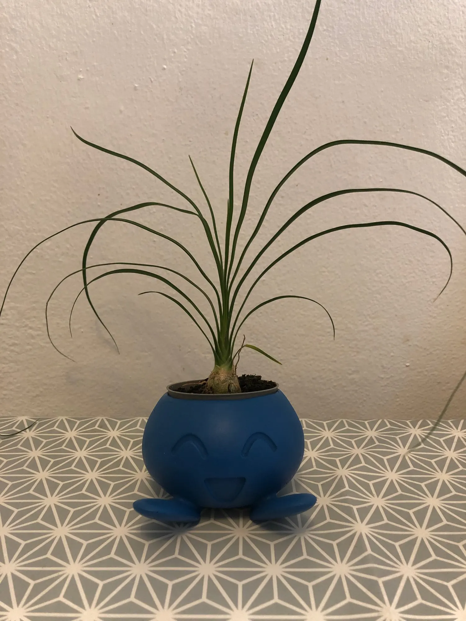 Fioriera Ivyline Lisbona In Ceramica Salvia – 11,5x11,5 Cm, Impermeabile, Prodotta In Portogallo