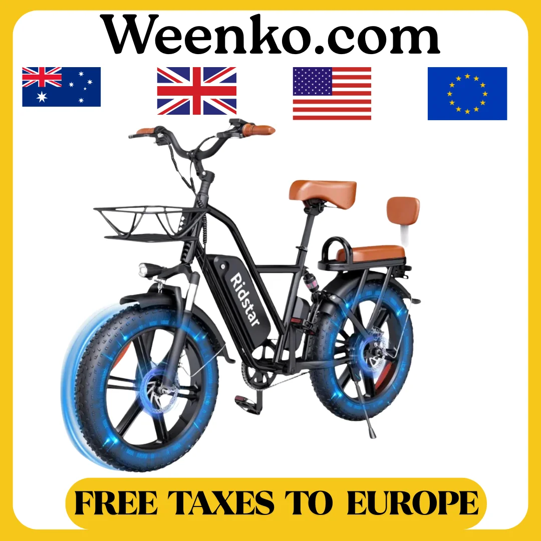 Ridstar FM-001 Electric Bicycle 1000W 48V 15AH Road City Ebike for