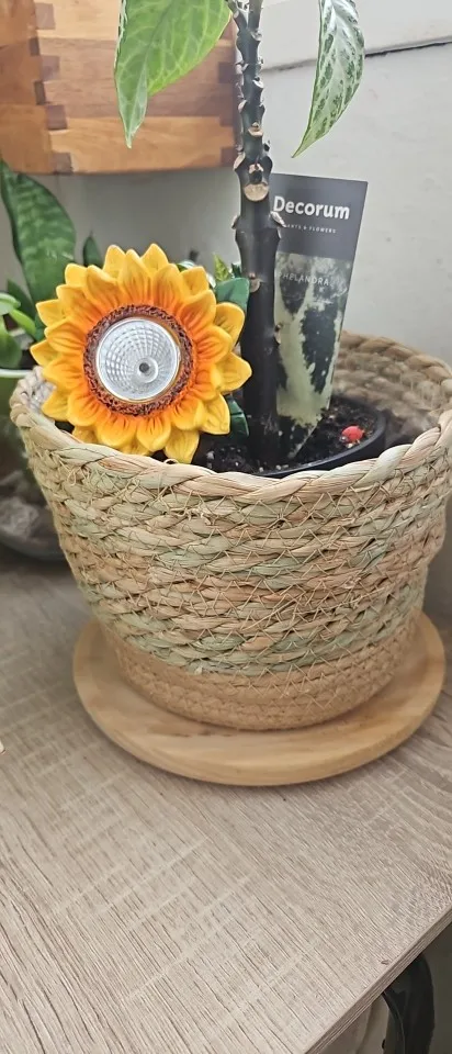 Straw Weaving Flower Plant Pot Wicker Basket Rattan Flowerpot Storage Basket Garden Flowerpot Handmade Woven Planter Basket photo review