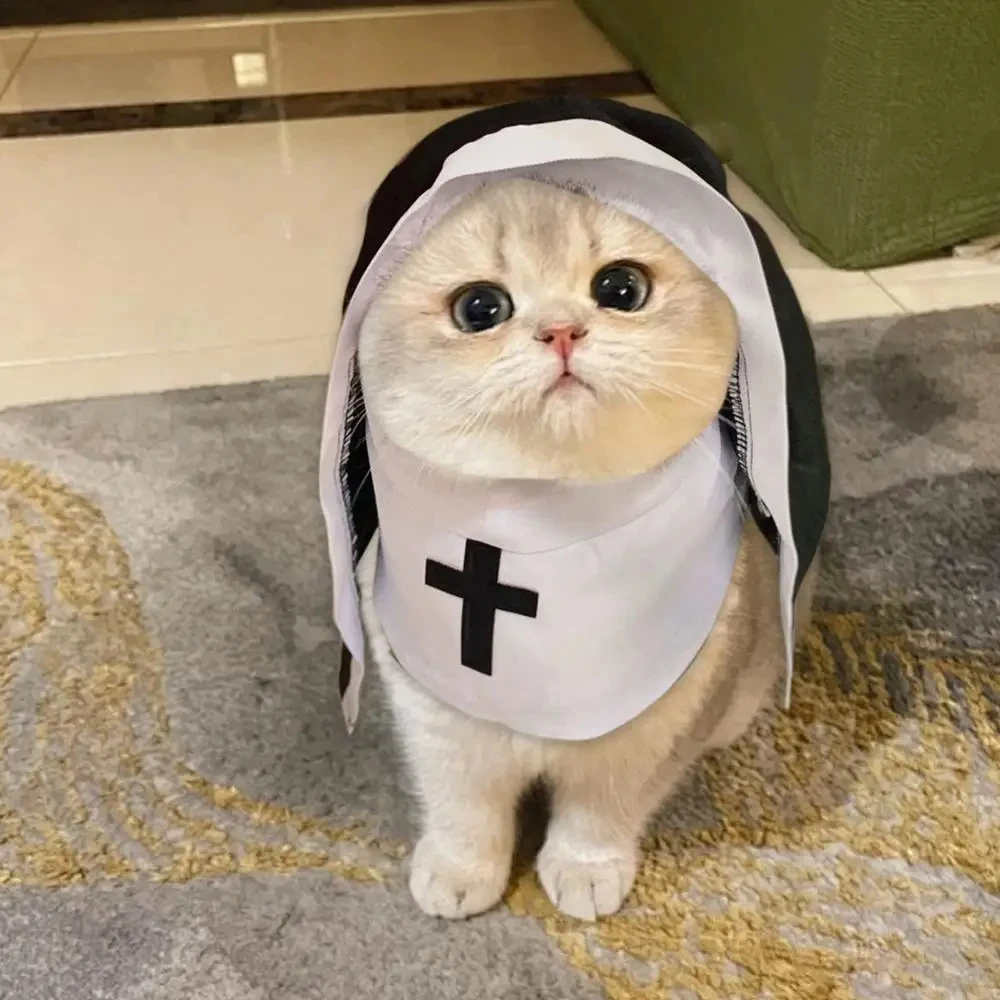 Nun Pet Halloween Costume 2