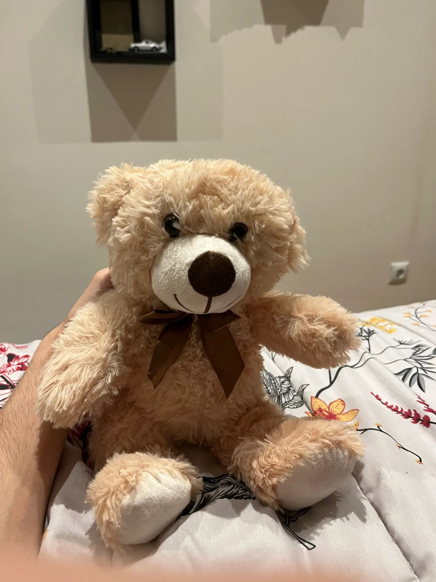 Soft Teddy Bear Plushie photo review