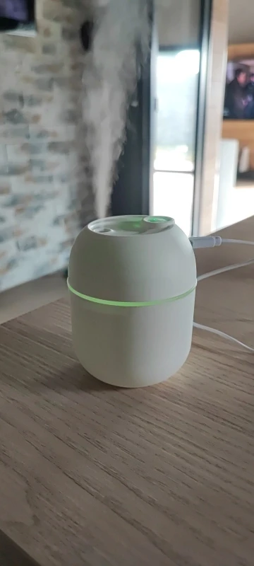 Mini Air Humidifier & Essential Oil Diffuser photo review