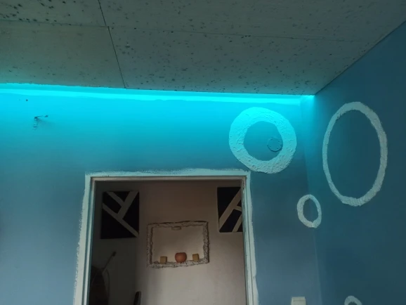 Multicolor LED Lights, customer photo