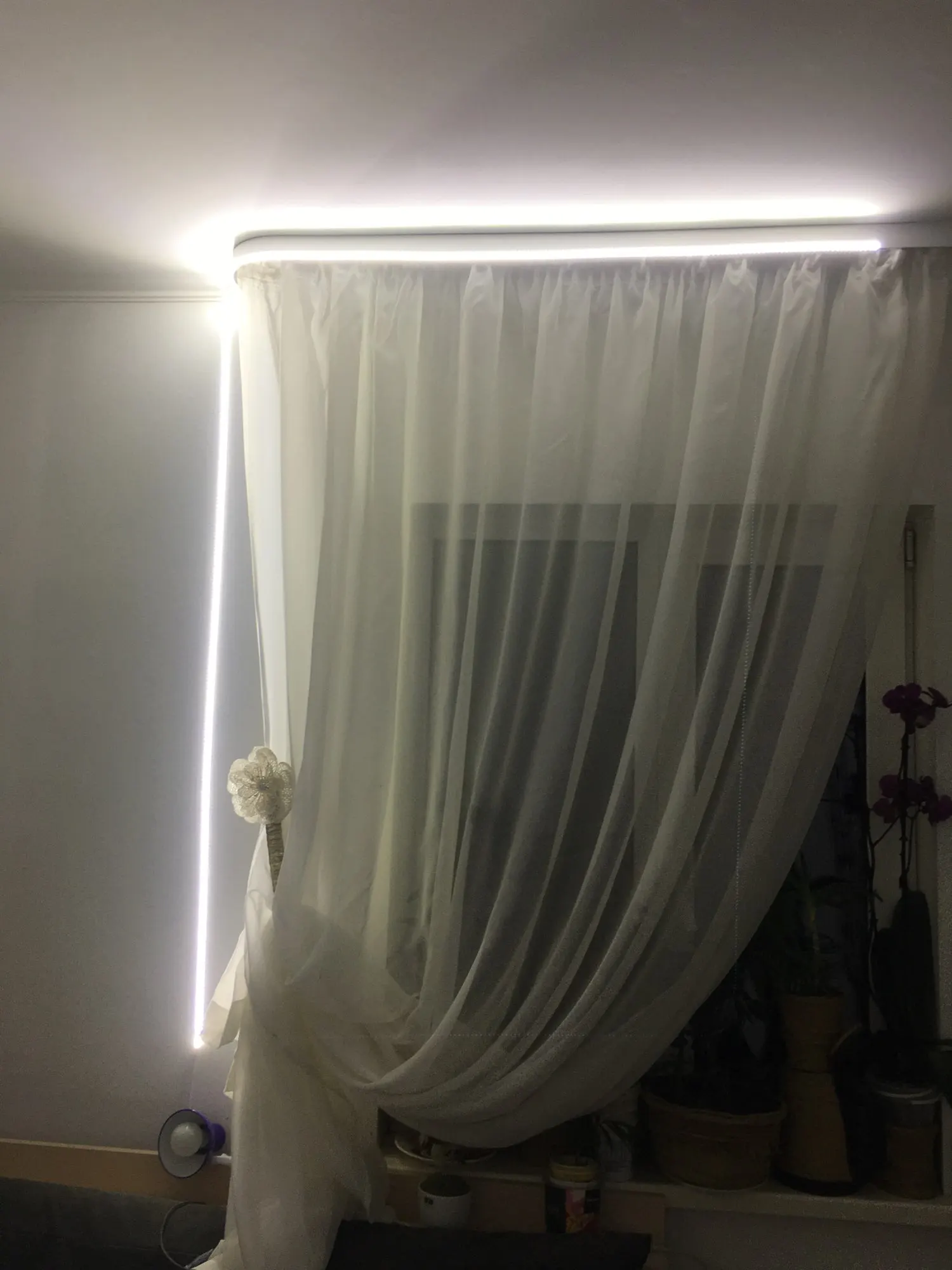 LED Strip Light 220V 2835 Waterproof 120LEDs/m With Switch photo review