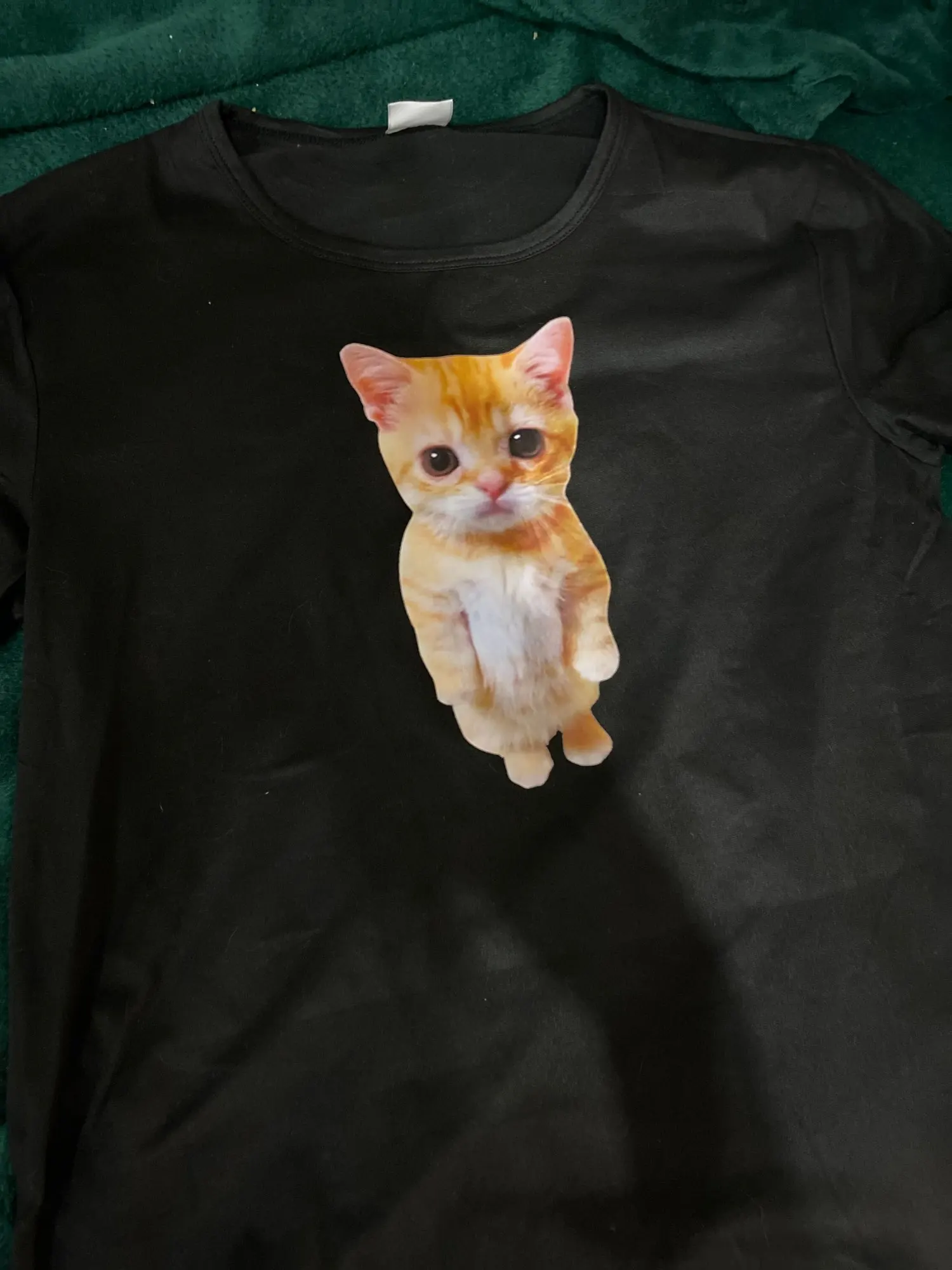 Funny El Gato Meme Sad Crying Cat Munchkin Kitty 3D Print Women Casual T-Shirt Summer Harajuku T Shirts Casual Fashion Clothes photo review