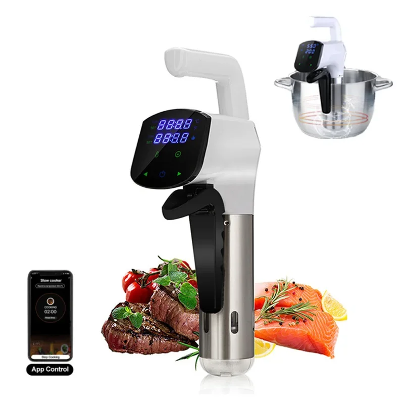 WiFi Precision Sous Vide 1