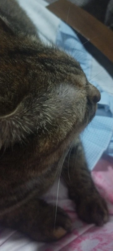 Women's Fashion 2024 High Street Party Cami - Summer Club Streetwear Tank Top photo review