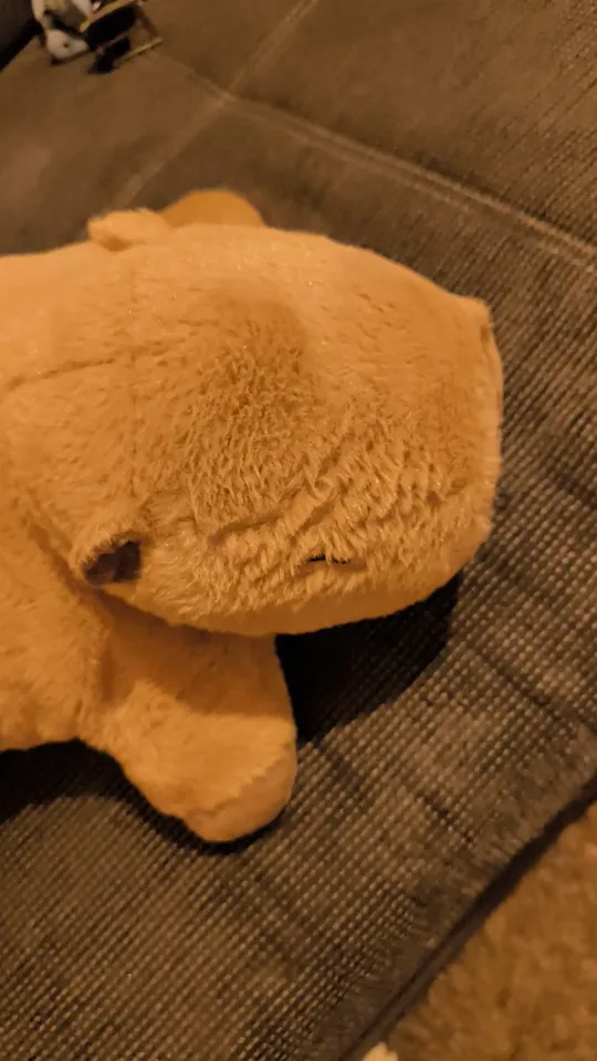 Capivara Fofeza® de Pelúcia – Estilo Almofada