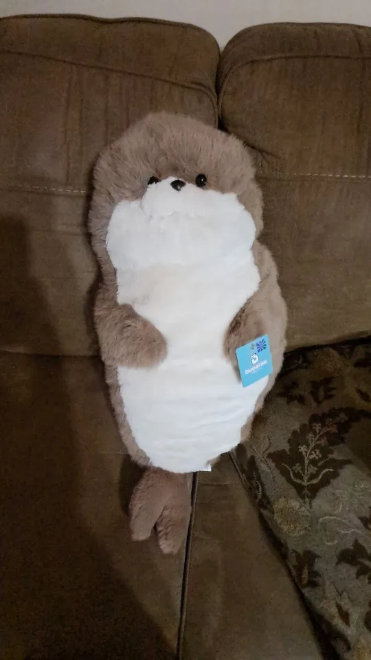Seal and Otter Plushies photo review