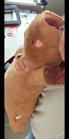 Chonky Sleeping Capybara Plushie photo review