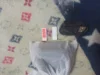Изображение товара 5