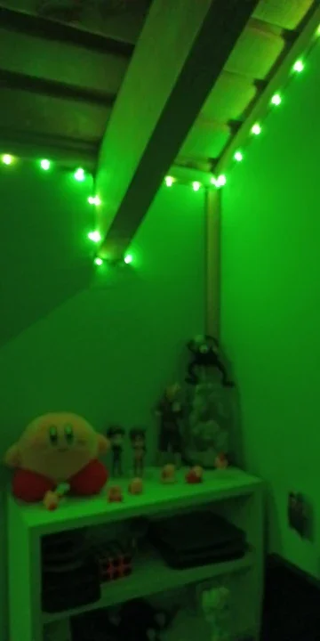Multicolor LED Lights, customer photo