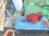 Изображение товара 1