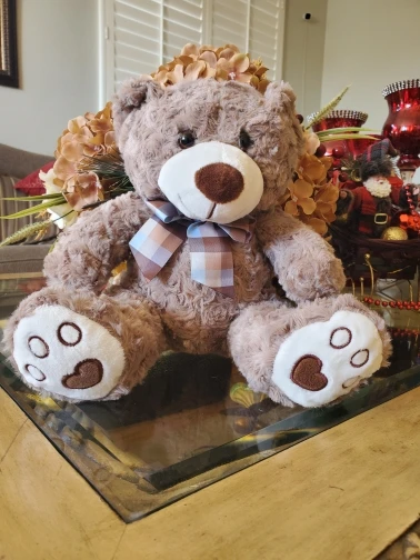 Kawaii Teddy Bear Plush Pillow photo review