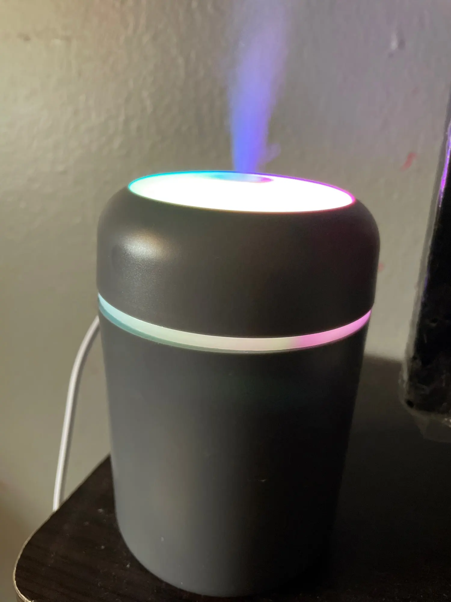 USB Cool Mist Sprayer Portable 300ml