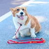 Training Dog Choking Rope Leash 2 in 1 Lead Collar 150cm P-Shaped Chain Slip Lead Control Leash for Small Large Competition Dogs 5