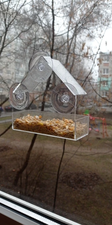 The Transparent Window Bird House