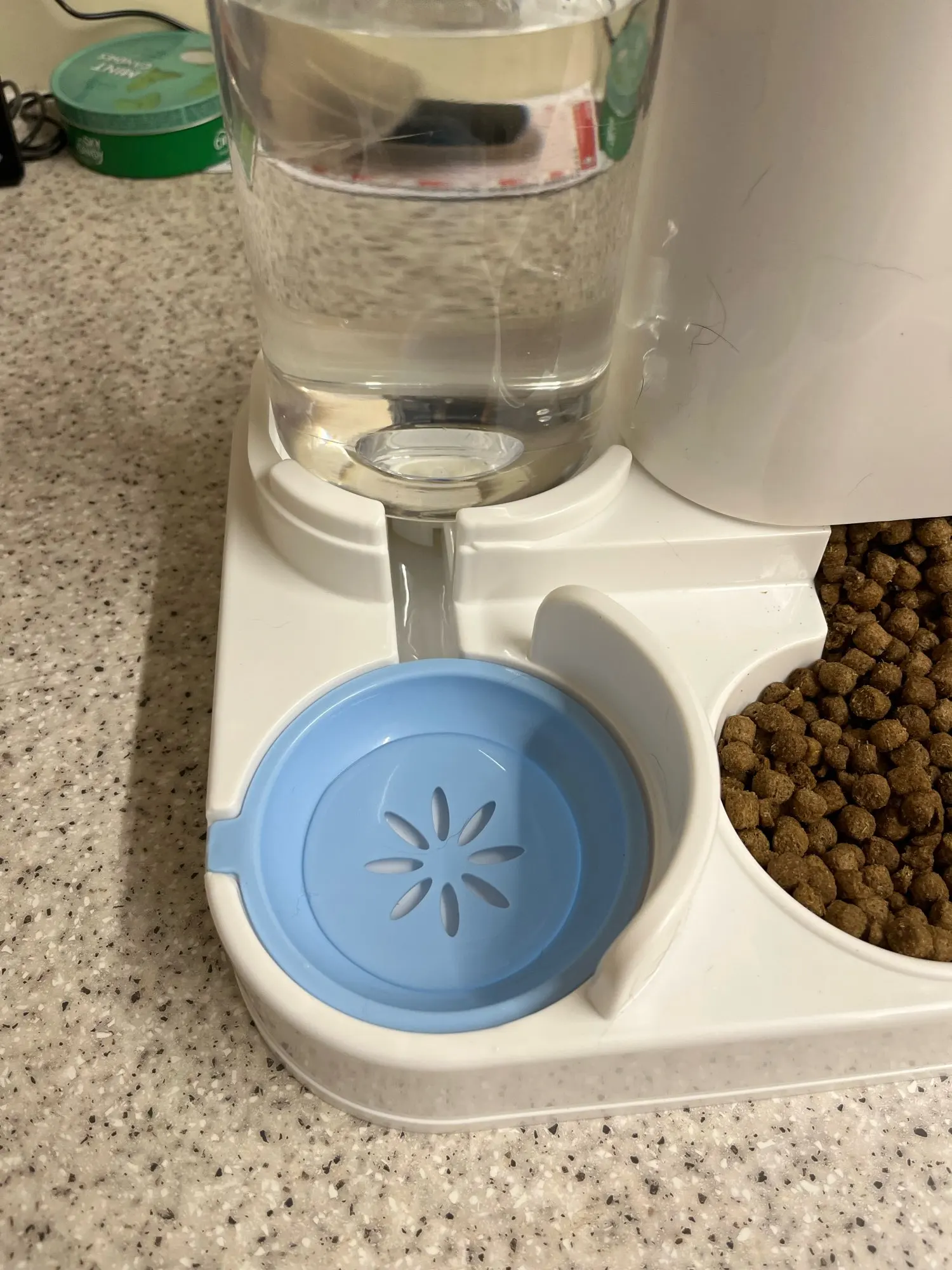 Automatic Feeder Dog Cat Food Bowl With Water Fountain Large Capacity Pet Food Storage Dispenser Container Puppy Pet Accessories photo review