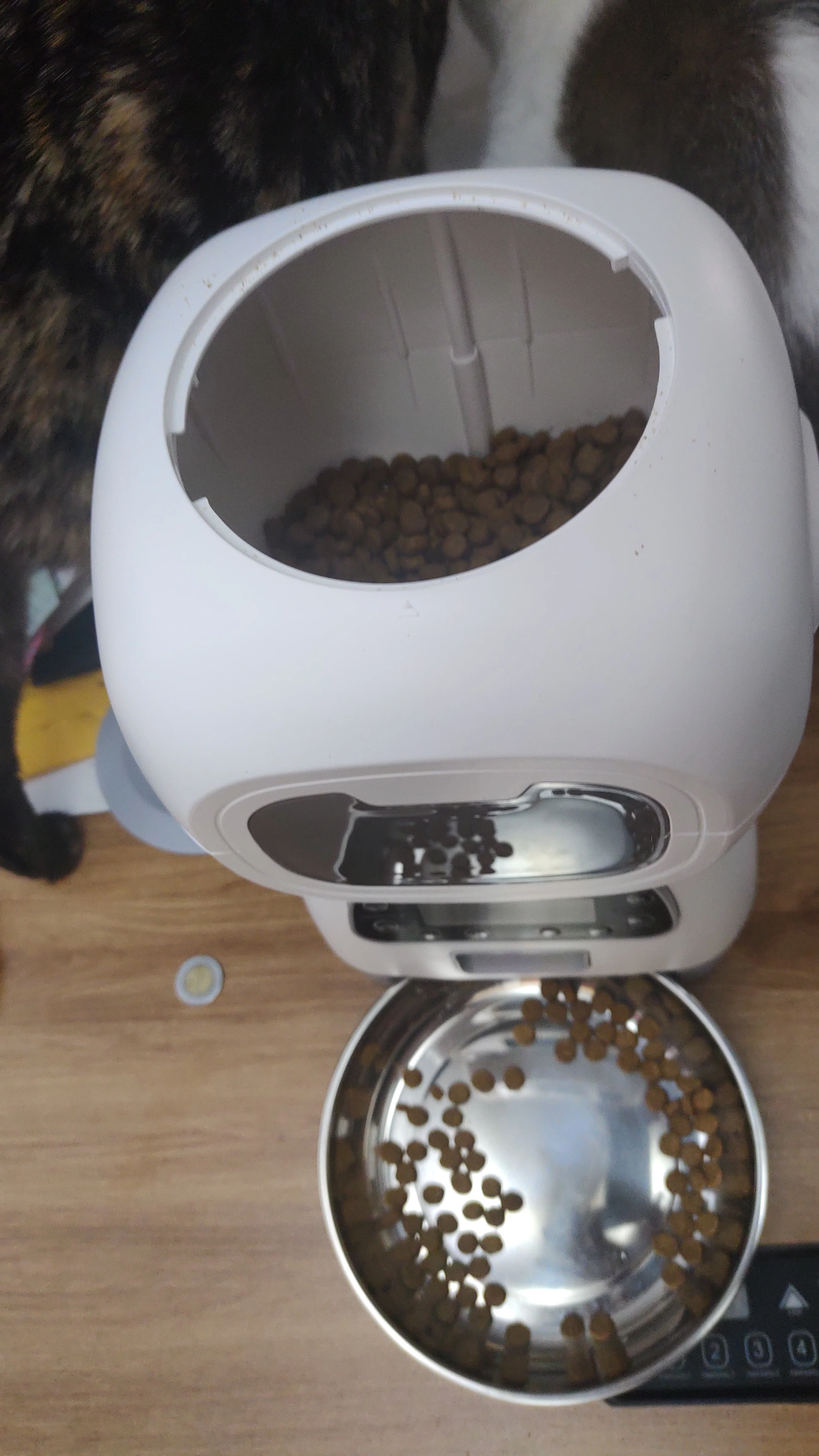 🐾 3.5L אוטומטי חיות מחמד מזין חכם WiFi – קיבולת גדולה, מקליט קול, עיתוי מדויק! מזין איטי לכלב וחתול, נוחות ושליטה מרחוק! 🐱