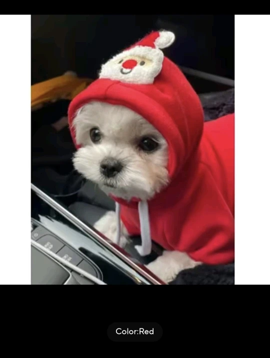 Peture® Reindeer Antlers & Santa Cloak