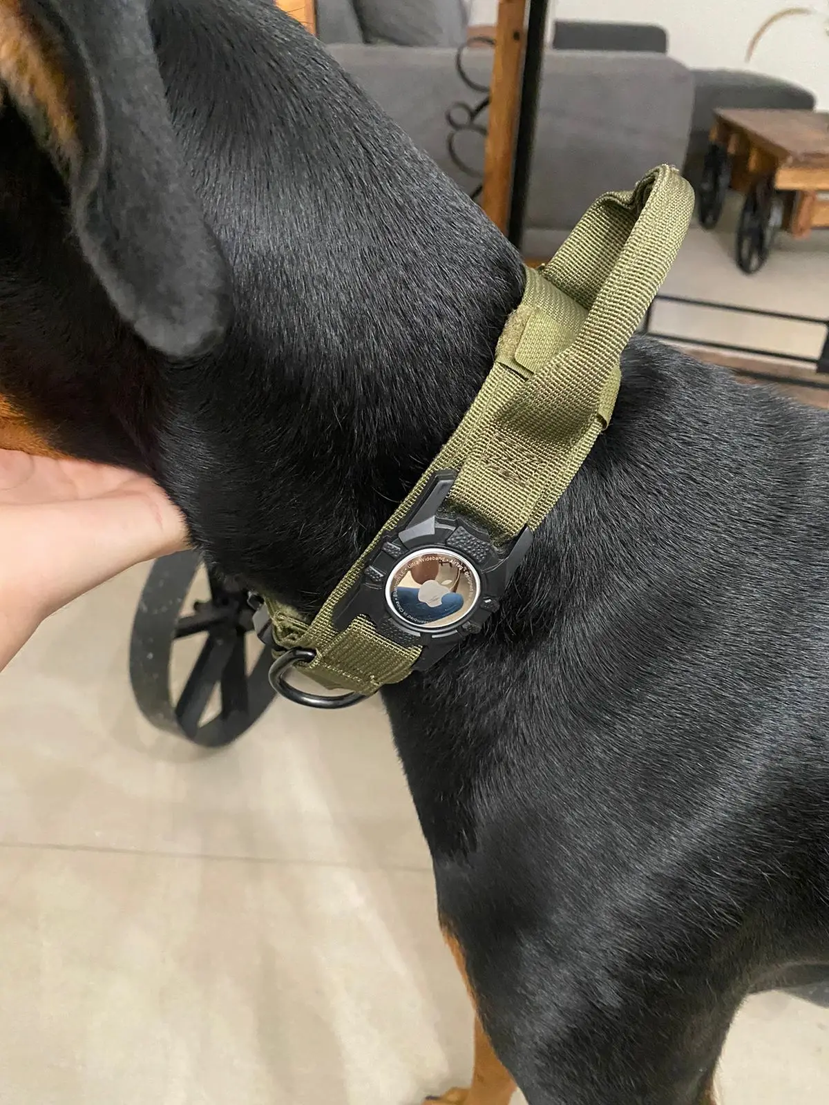 Collier gros chien airtag