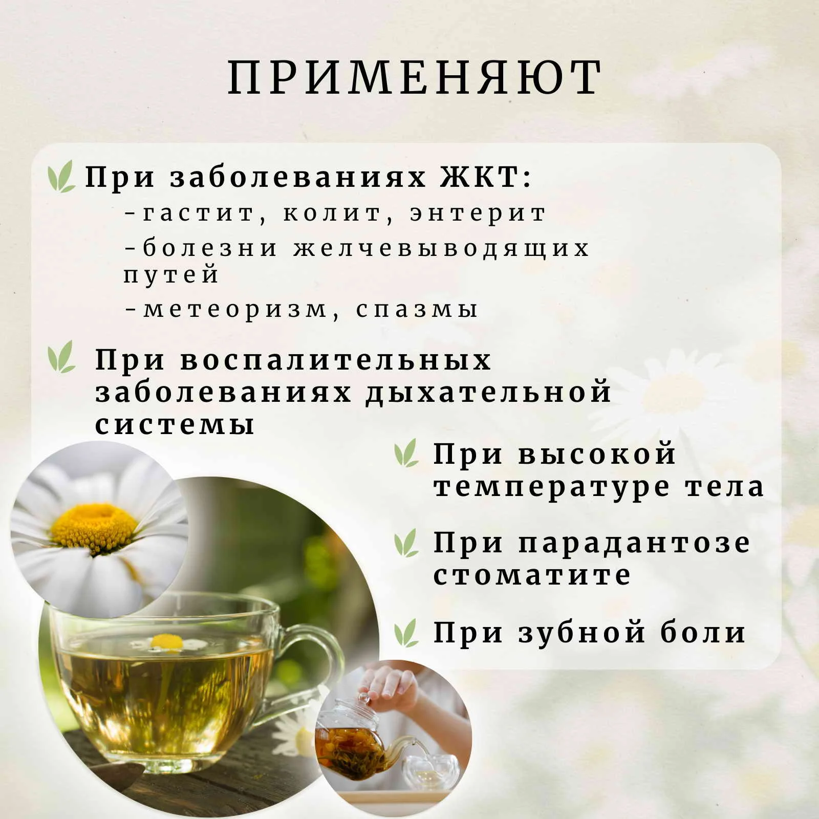Рисунок 2 - Ромашка аптечная сушеная 100 г