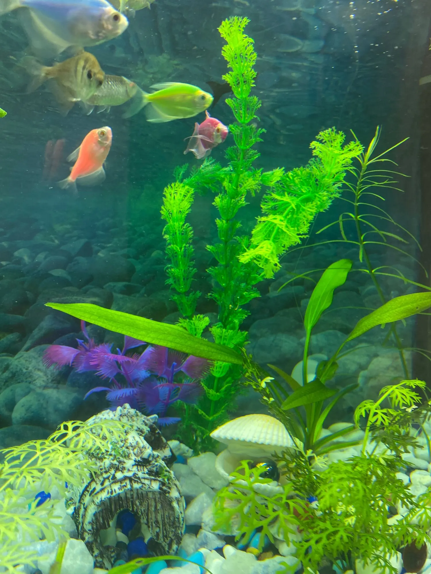 Fish Aquarium Decorations Home Artificial Simulation Plants Fish Tank Aquarium Lovely Decoration Aquarium Accessories