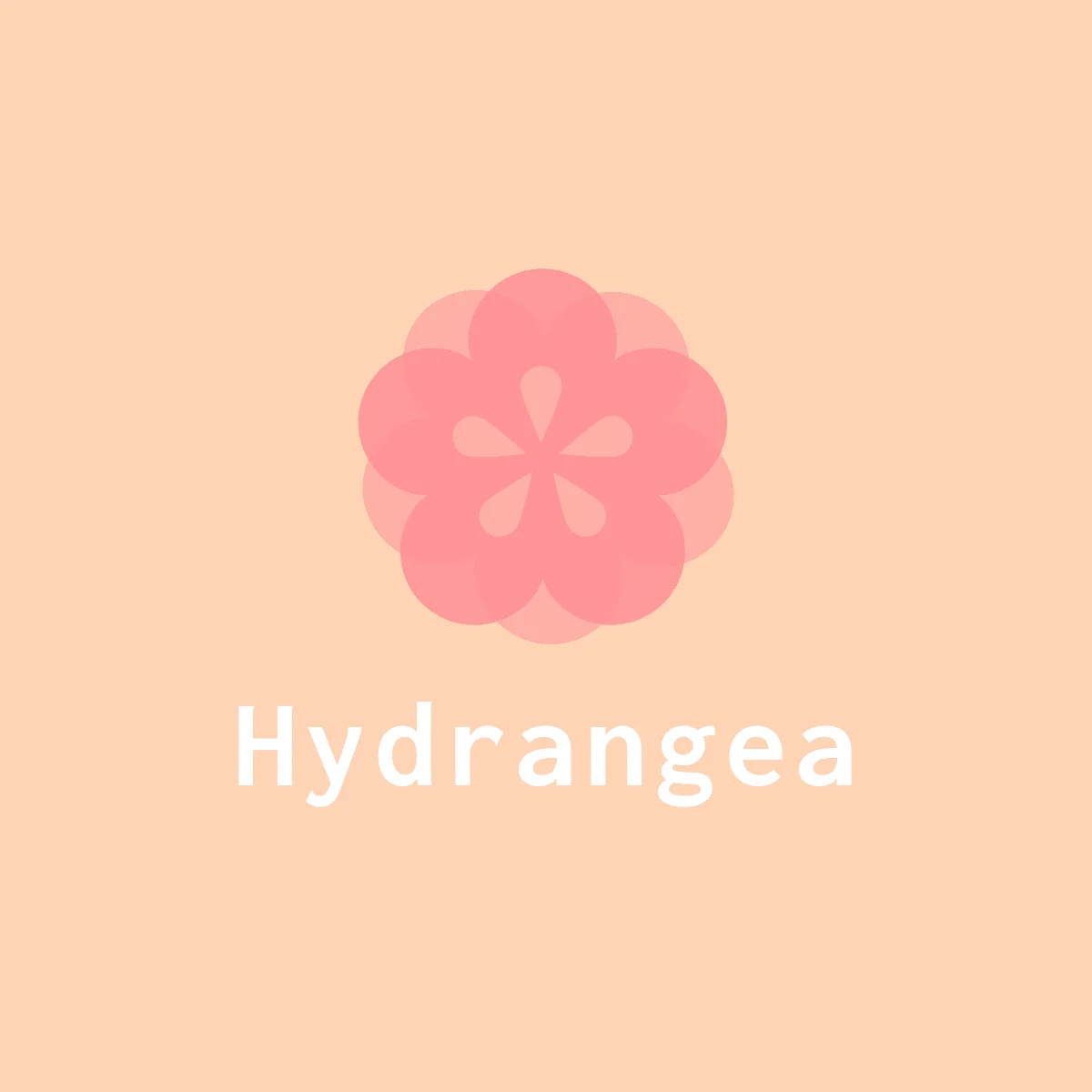 Hydrangea Store