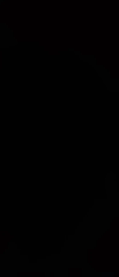 ANBERNIC RG40XX V photo review