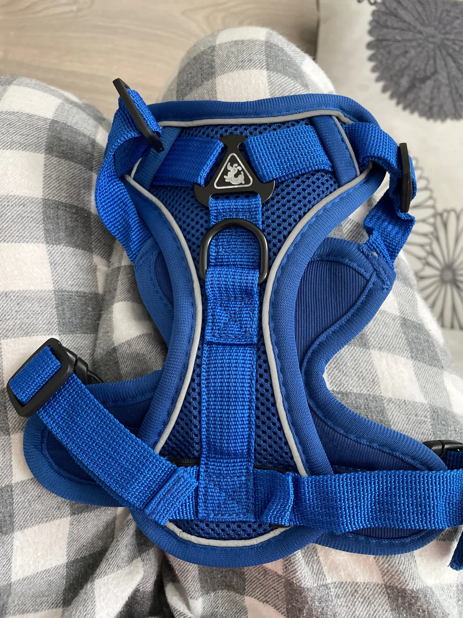 Halsband - Verstellbar, Reflektierend & Komfortabel für kleine Hunde und Katzen photo review